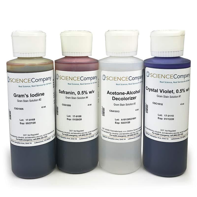 gram-stain-set-4-x-4oz-bottles